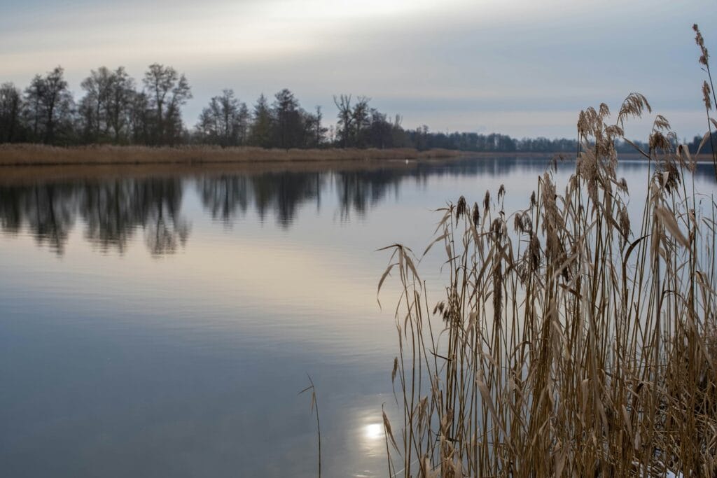 Zasoby wodne w Polsce